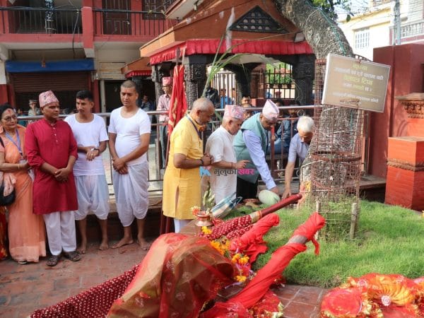 दसैँका सातौँ दिन विराटनगरमा भित्र्याइयो फूलपाती (फोटो फिचर)