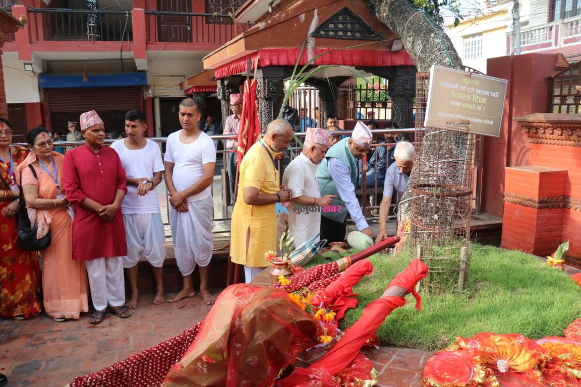 दसैँका सातौँ दिन विराटनगरमा भित्र्याइयो फूलपाती (फोटो फिचर)