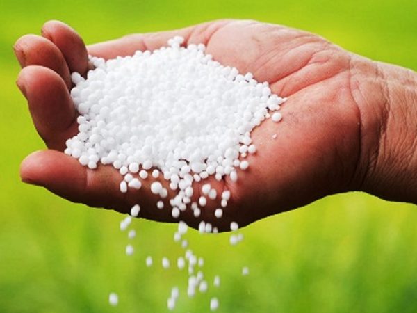 सरकारी अनुदानको मल व्यापारीको गोदामबाट बरामद 