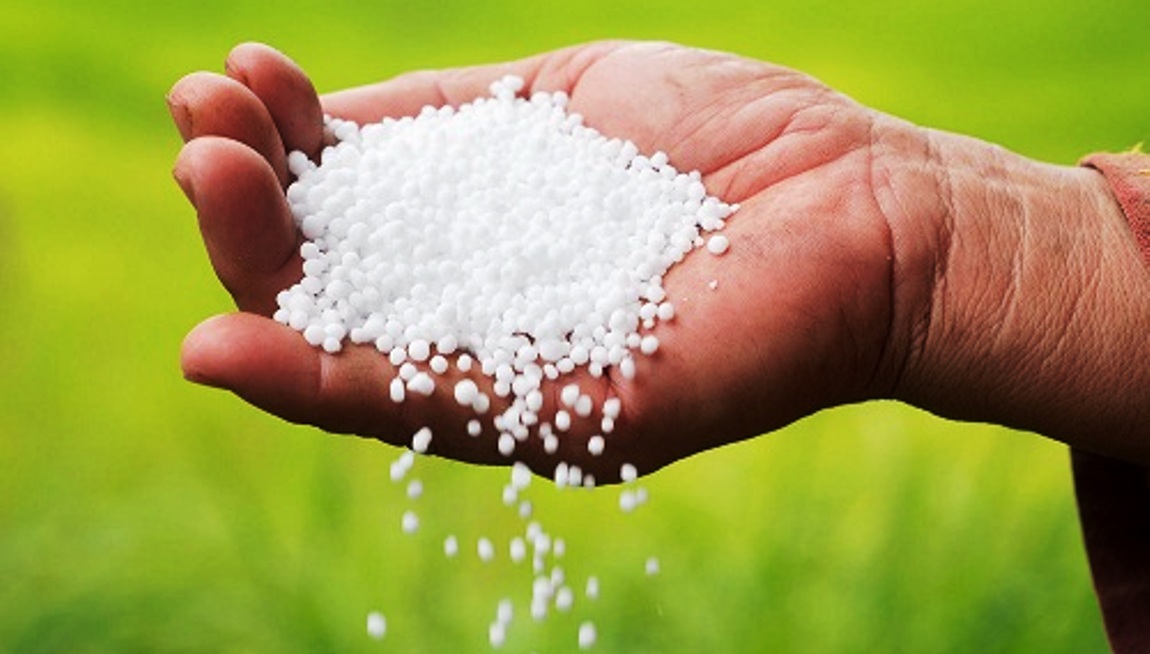 सरकारी अनुदानको मल व्यापारीको गोदामबाट बरामद 