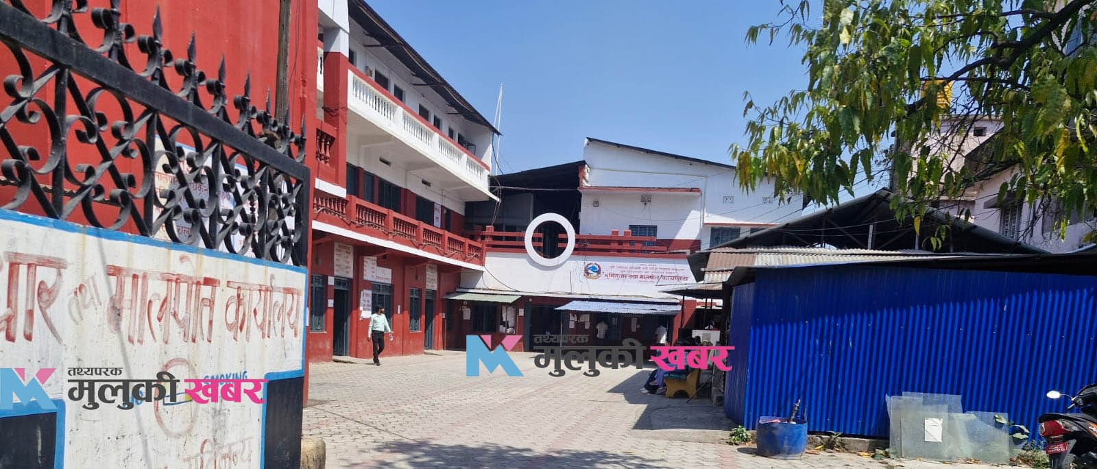 लेखापढी व्यवसायी आन्दोलित