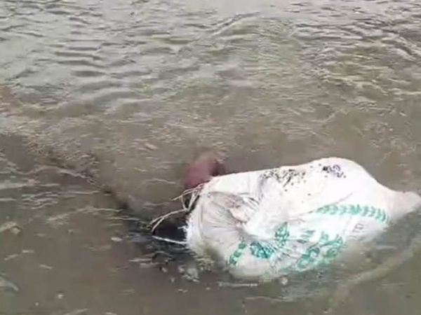 बोरामा पोको पारिएको अवस्थामा महिलाको शव फेला