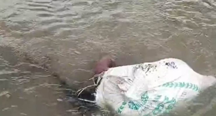 बोरामा पोको पारिएको अवस्थामा महिलाको शव फेला