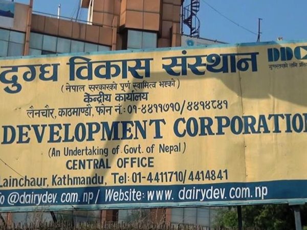 डीडीसीले किसानलाई बक्यौता भुक्तानी गर्दै