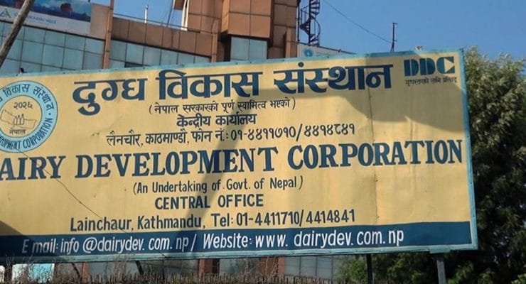 डीडीसीले किसानलाई बक्यौता भुक्तानी गर्दै