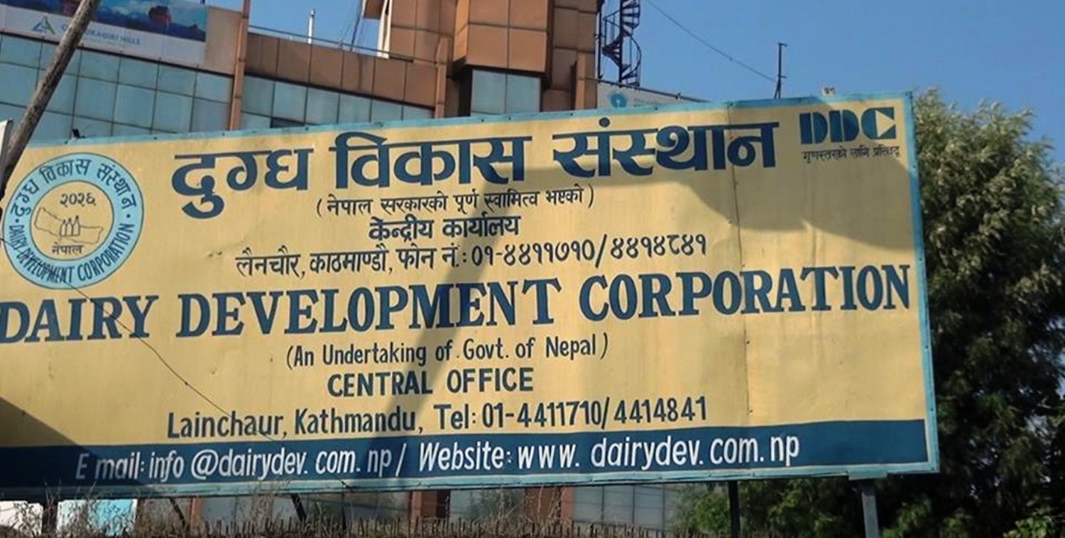 डीडीसीले किसानलाई बक्यौता भुक्तानी गर्दै