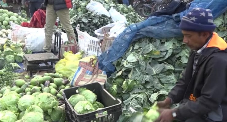  तरकारीको ‘समर्थन मूल्य’ तोकेर अनुदान दिन सुरु