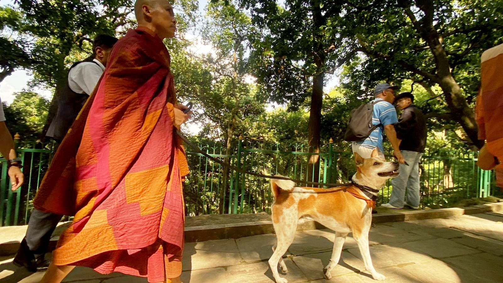 भियतनामी भिक्षुको टोली नेपालमा, ‘अलोका’ कुकुर बन्यो आकर्षणको केन्द्र