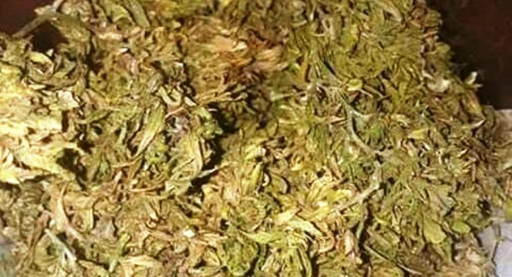 शौचालयभित्र लुकाएको ६४ केजी गाँजा बरामद 