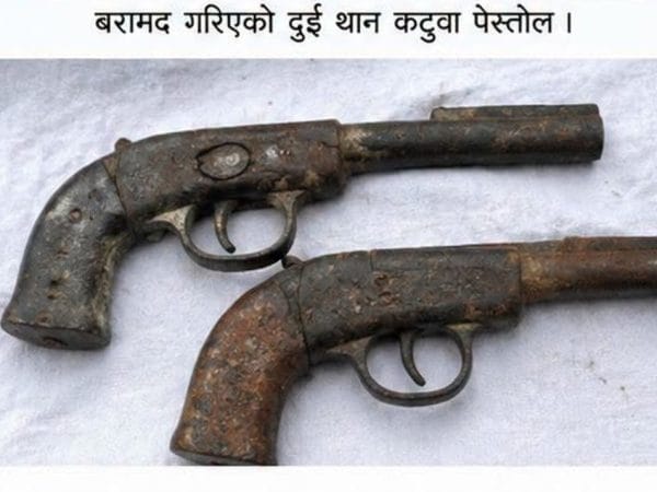 बालबालिकाले फेला पारे दुई थान कटुवा पेस्तोल