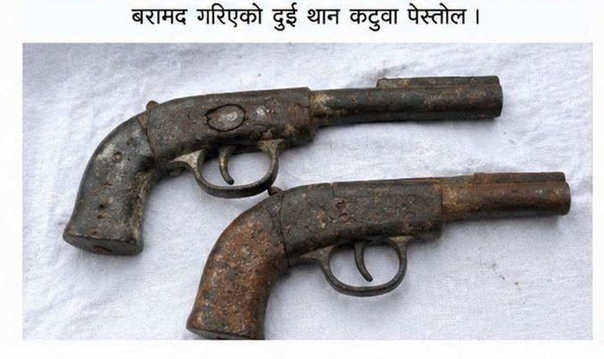 बालबालिकाले फेला पारे दुई थान कटुवा पेस्तोल