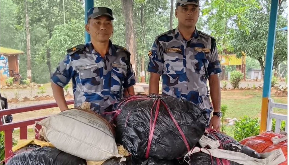 कटारीबाट गाँजा बरामद