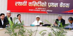 एमालेको वडा र पालिका अधिवेशनको मिति तय