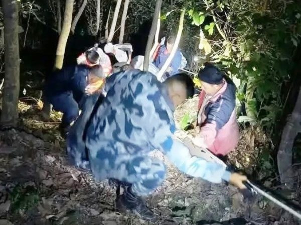 इलामबाट काठमाडौं जाँदै माइक्रो बस बीपी राजमार्गमा दुर्घटना, तीन जना घाइते